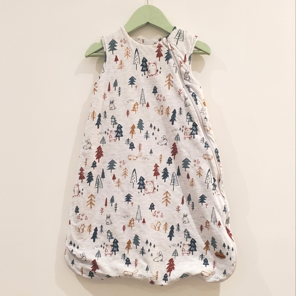 Souris Mini Wearable Blanket
